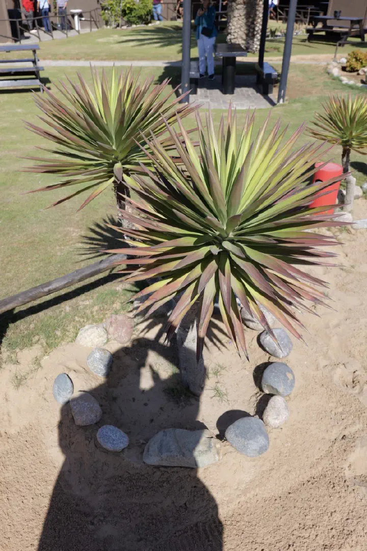 Walvis Bay, Namibia - Photo 2