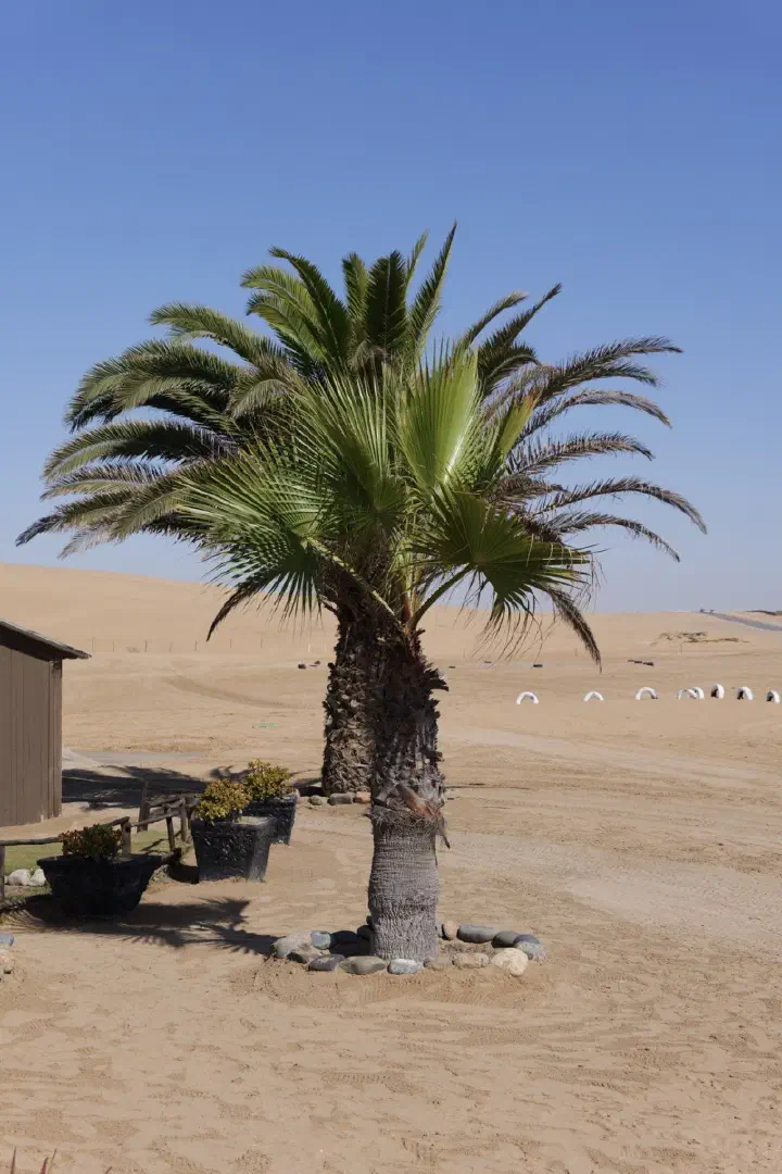 Walvis Bay, Namibia - Photo 3