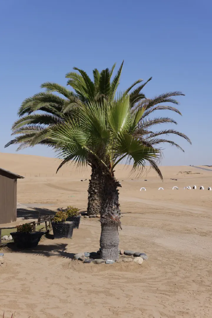 Walvis Bay, Namibia - Photo 3