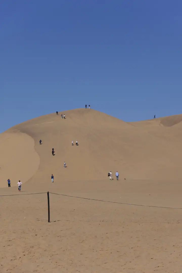 Walvis Bay, Namibia - Photo 12