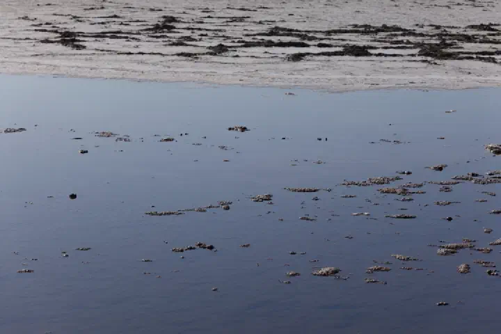 Walvis Bay, Namibia - Photo 22