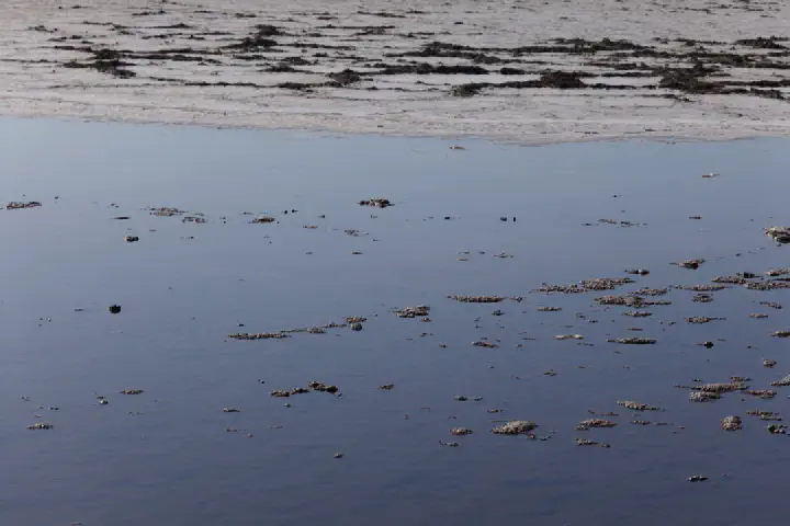 Walvis Bay, Namibia - Photo 22