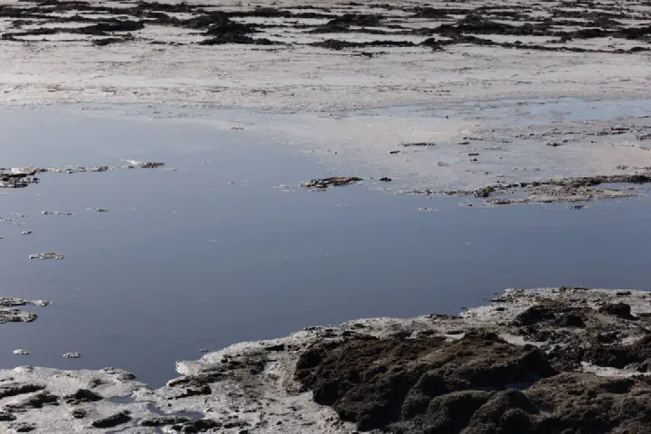 Walvis Bay, Namibia - Photo 24