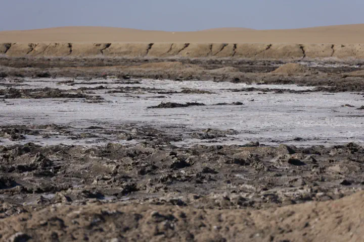 Walvis Bay, Namibia - Photo 25