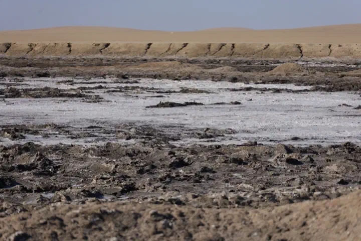 Walvis Bay, Namibia - Photo 25