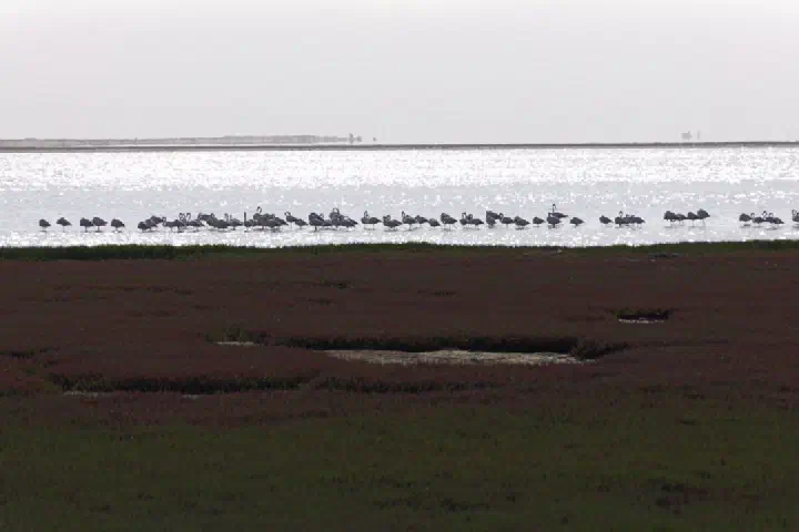 Walvis Bay, Namibia - Photo 28