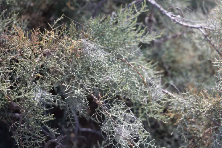 Walvis Bay, Namibia - Photo 29