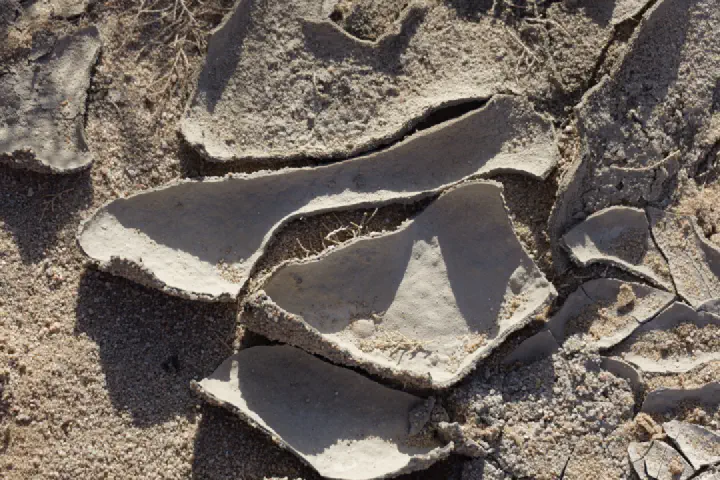 Walvis Bay, Namibia - Photo 31