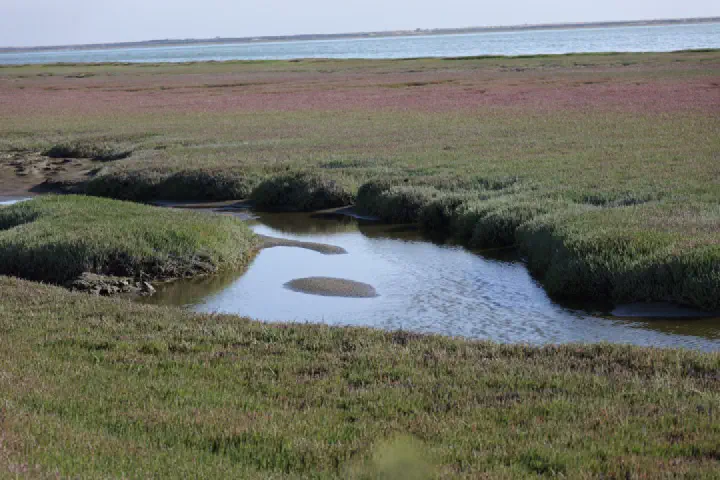 Walvis Bay, Namibia - Photo 32