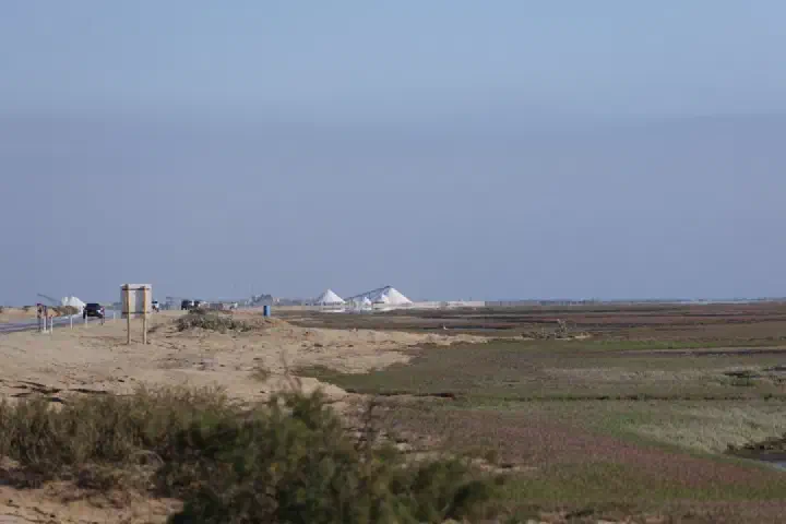 Walvis Bay, Namibia - Photo 35