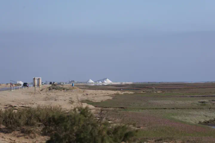 Walvis Bay, Namibia - Photo 35