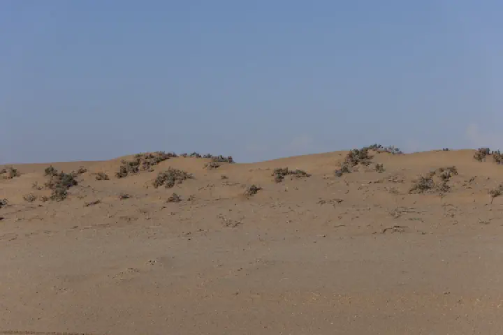 Walvis Bay, Namibia - Photo 39