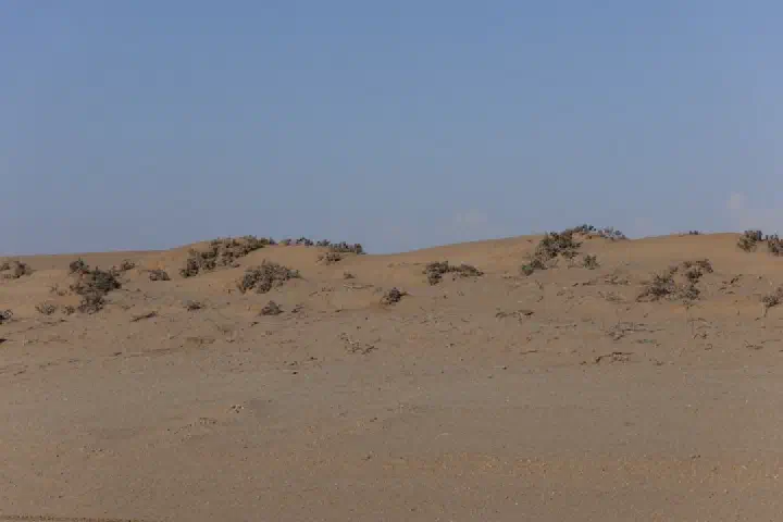 Walvis Bay, Namibia - Photo 39