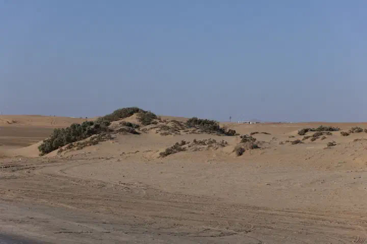 Walvis Bay, Namibia - Photo 40