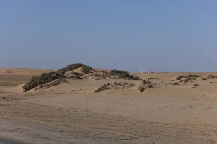 Walvis Bay, Namibia - Photo 40