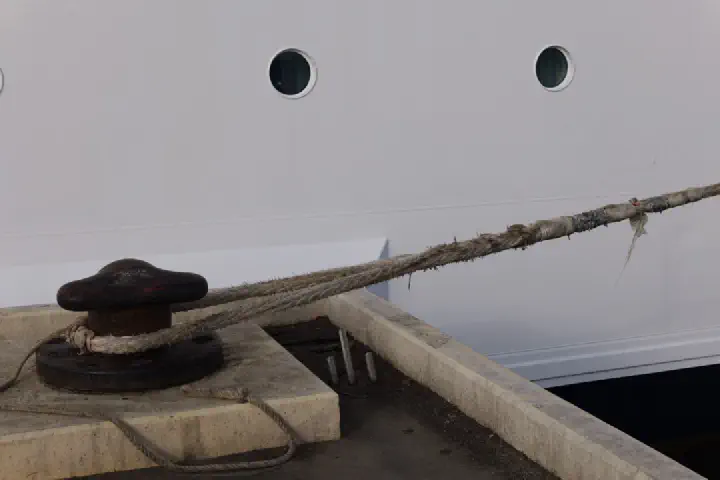 Walvis Bay, Namibia - Photo 43